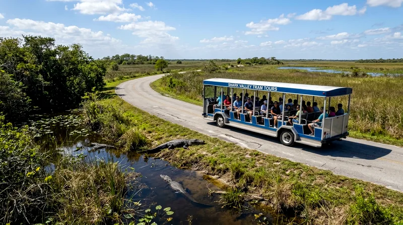 Shark Valley tram tour vehicle on the loop road with alligators visible in the Everglades