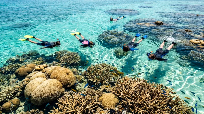 Best Miami Snorkeling Tours: Reefs, Wrecks & Where to Book
