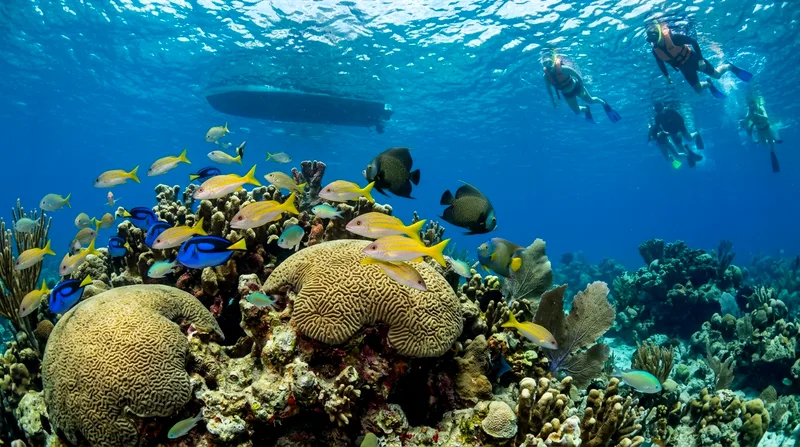 Underwater coral and tropical fish at John Pennekamp snorkel tour site near Key Largo